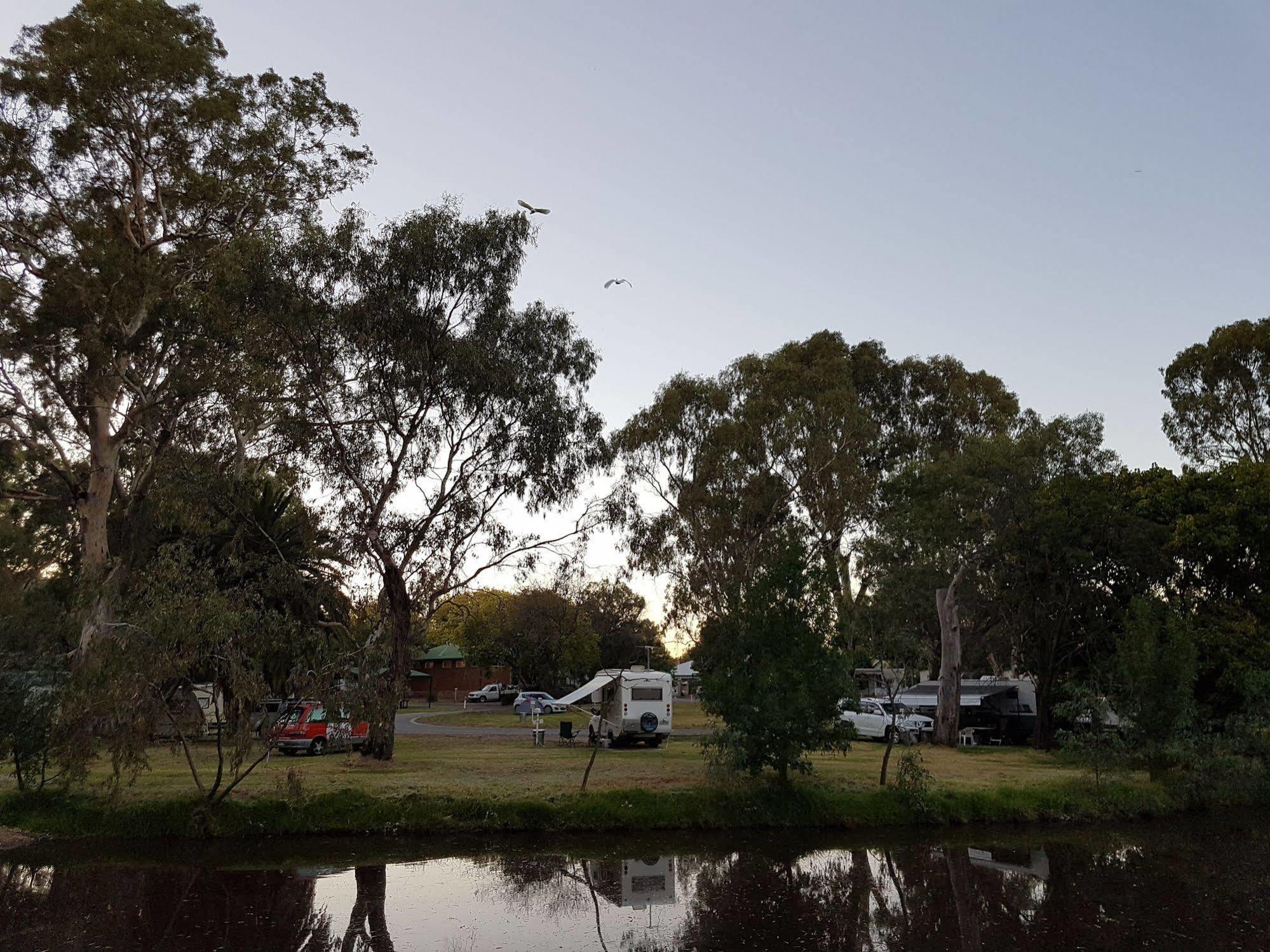 Euroa Caravan Park Hotell Exteriör bild