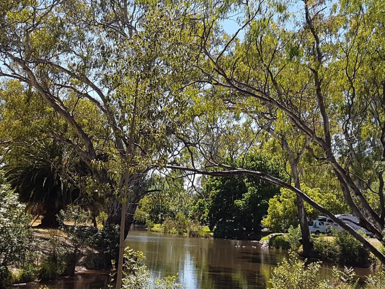 Euroa Caravan Park Hotell Exteriör bild